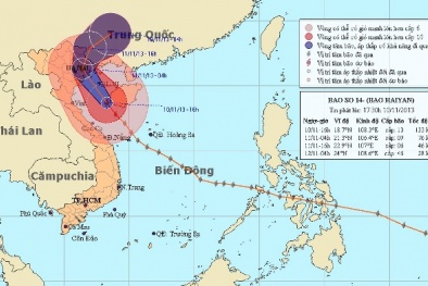 Cập nhật liên tục thông tin bão số 14 ngày 11/11